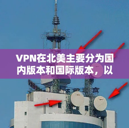 VPN在北美主要分为国内版本和国际版本,以及基于不同技术的其他类型。以下是具体的分类和版本