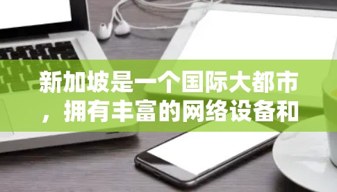 新加坡是一个国际大都市,拥有丰富的网络设备和云服务。以下是新加坡最知名和可靠的VPN服务提供商 新加坡是一个国际大都市,拥有丰富的网络设备和云服务。以下是新加坡最知名和可靠的VPN服务提供商