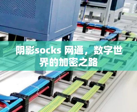 阴影socks 网通,数字世界的加密之路