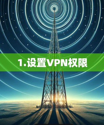 1.设置VPN权限