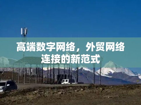 高端数字网络,外贸网络连接的新范式
