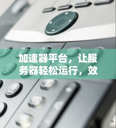 加速器平台,让服务器轻松运行,效率爆表!