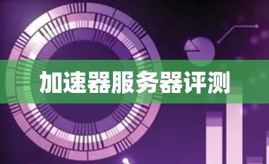 加速器服务器评测 加速器服务器评测