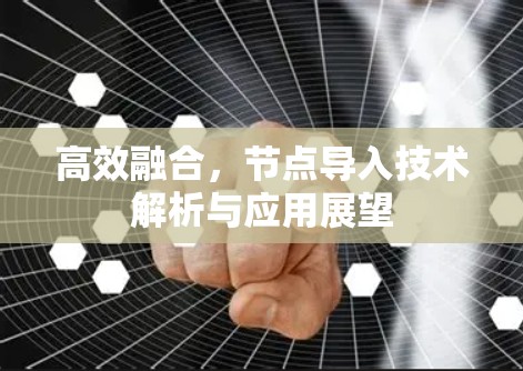 高效融合，节点导入技术解析与应用展望