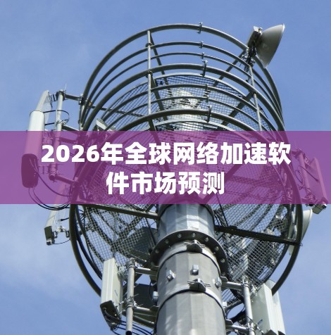 2026年全球网络加速软件市场预测
