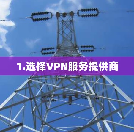 1.选择VPN服务提供商 1.选择VPN服务提供商