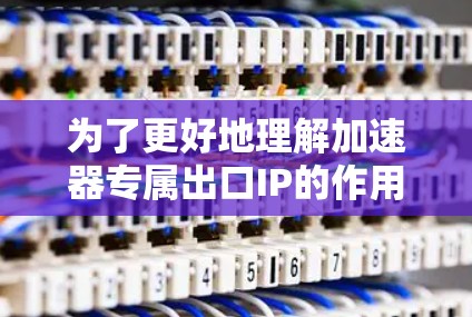 为了更好地理解加速器专属出口IP的作用及其配置方法,请按照以下步骤进行操作 为了更好地理解加速器专属出口IP的作用及其配置方法,请按照以下步骤进行操作