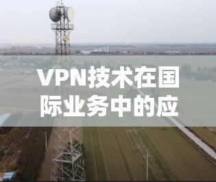 VPN技术在国际业务中的应用及挑战 VPN技术在国际业务中的应用及挑战