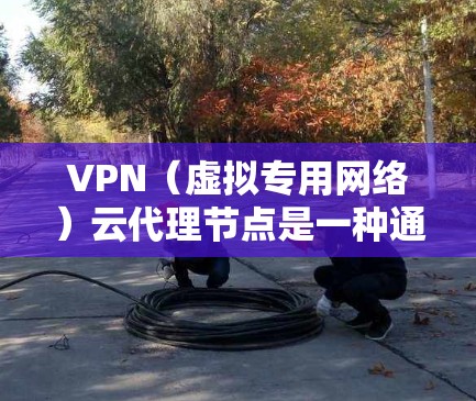 VPN（虚拟专用网络）云代理节点是一种通过互联网提供安全远程访问内部网络的服务，通常用于保护用户隐私和安全，防止数据被窃取或监控