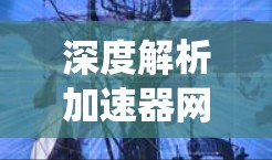 深度解析加速器网络工具APP，助力通信系统性能优化