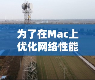 为了在Mac上优化网络性能并加速网络连接，可以按照以下步骤进行