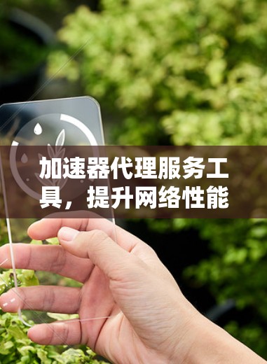 加速器代理服务工具，提升网络性能与效率