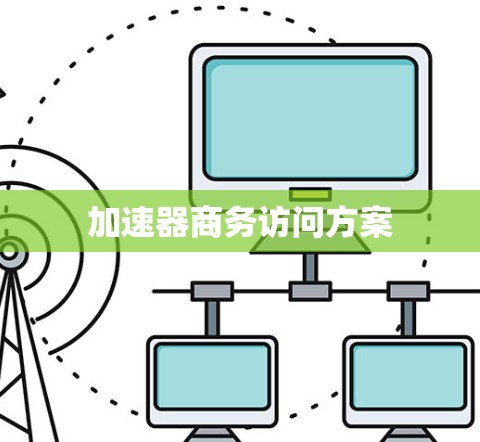 加速器商务访问方案