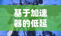 基于加速器的低延迟通信方案设计与实现 基于加速器的低延迟通信方案设计与实现