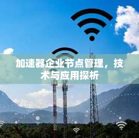 加速器企业节点管理，技术与应用探析