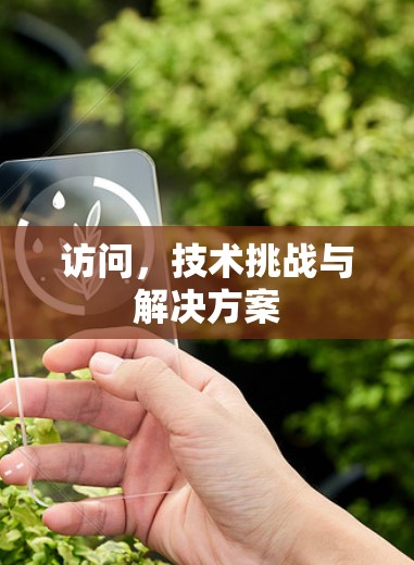 访问,技术挑战与解决方案 访问,技术挑战与解决方案