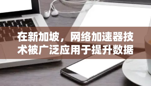 在新加坡，网络加速器技术被广泛应用于提升数据传输效率和用户体验。以下是对新加坡网络加速器的详细分析