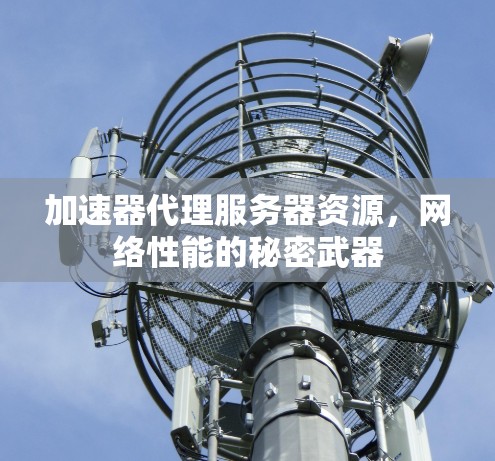 加速器代理服务器资源,网络性能的秘密武器 加速器代理服务器资源,网络性能的秘密武器