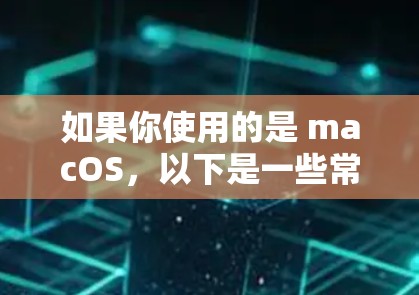 如果你使用的是 macOS,以下是一些常用的网络加速工具,可以帮助你提升网络性能 如果你使用的是 macOS,以下是一些常用的网络加速工具,可以帮助你提升网络性能