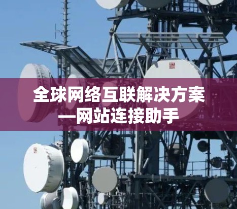 全球网络互联解决方案—网站连接助手