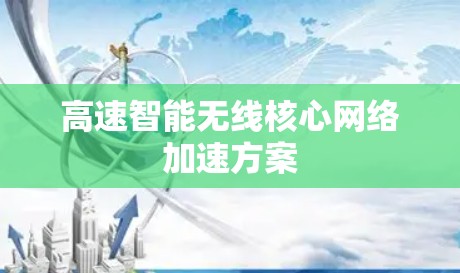 高速智能无线核心网络加速方案