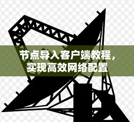 节点导入客户端教程，实现高效网络配置