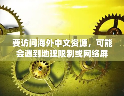 要访问海外中文资源，可能会遇到地理限制或网络屏蔽等问题。以下是一些常用的工具和方法，帮助你绕过地理限制，访问相关资源