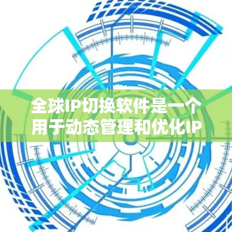 全球IP切换软件是一个用于动态管理和优化IP地址的高级网络工具，特别适用于需要跨区域或全球范围内管理网络的企业。以下是对全球IP切换软件的详细分析和总结