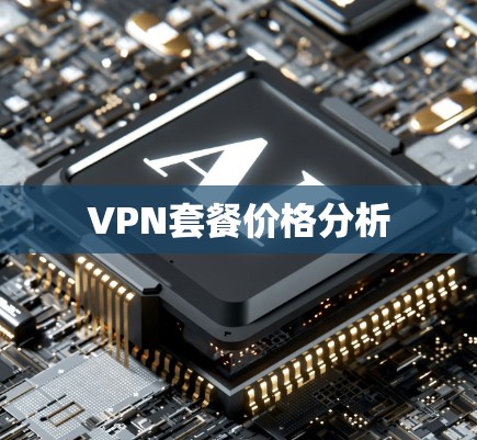 VPN套餐价格分析