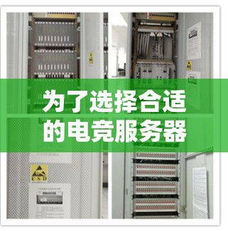 为了选择合适的电竞服务器连接工具，您可以按照以下步骤进行