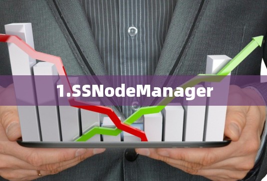 1.SSNodeManager