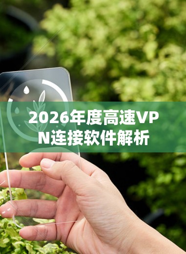 2026年度高速VPN连接软件解析