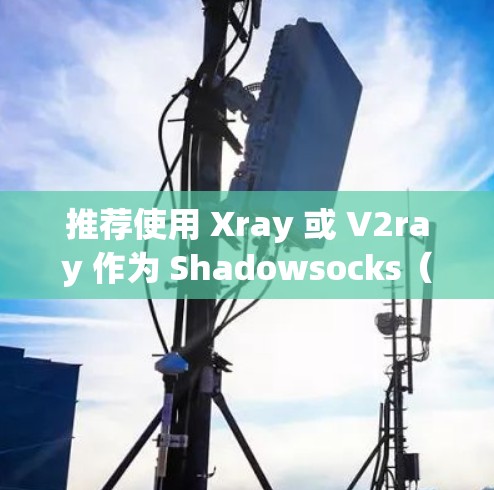 推荐使用 Xray 或 V2ray 作为 Shadowsocks(SS)代理客户端。它们支持多种协议,功能强大,适合大多数用户的需求 推荐使用 Xray 或 V2ray 作为 Shadowsocks(SS)代理客户端。它们支持多种协议,功能强大,适合大多数用户的需求