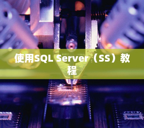 使用SQL Server(SS)教程 使用SQL Server(SS)教程