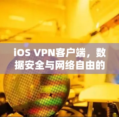 iOS VPN客户端,数据安全与网络自由的双重保障 iOS VPN客户端,数据安全与网络自由的双重保障