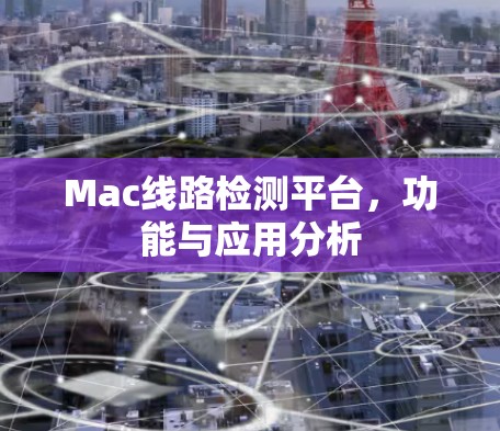 Mac线路检测平台，功能与应用分析