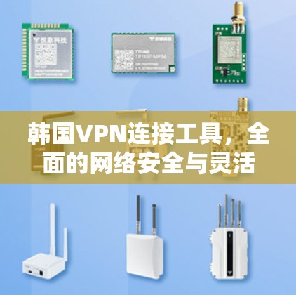 韩国VPN连接工具,全面的网络安全与灵活访问 韩国VPN连接工具,全面的网络安全与灵活访问