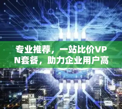 专业推荐,一站比价VPN套餐,助力企业用户高效办公 专业推荐,一站比价VPN套餐,助力企业用户高效办公