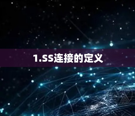 1.SS连接的定义 1.SS连接的定义