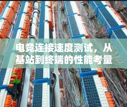 电竞连接速度测试，从基站到终端的性能考量